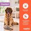 Tootoy! Comfort Mapache Gigante Peluche para perros, , large indicador imagen numero 4