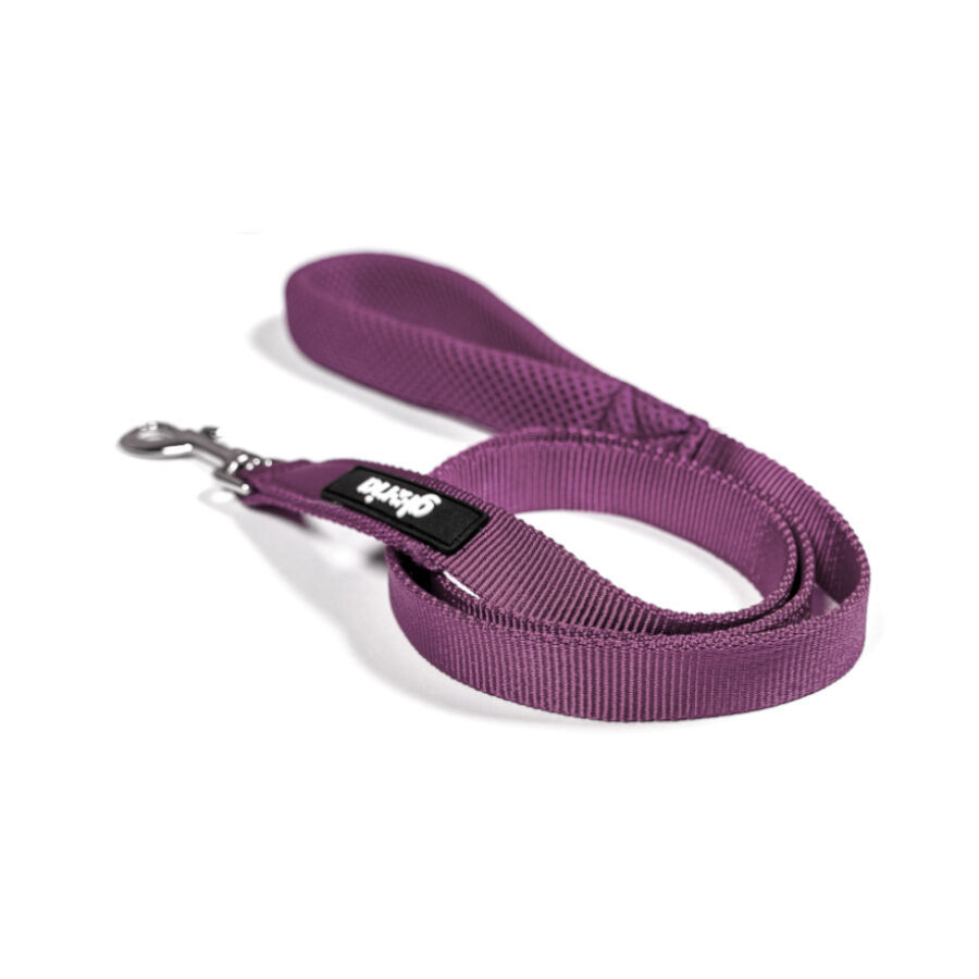 Gloria Air Mesh Trek Star Correa Morada para perros, , large Imagen numero 5