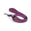 Gloria Air Mesh Trek Star Correa Morada para perros, , large indicador imagen numero 5
