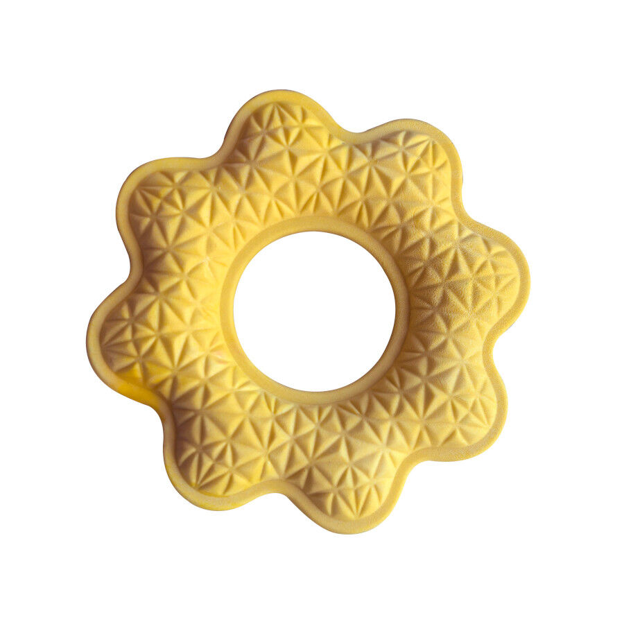 Summer Vibes Mordedor flotante con forma de flor para perros