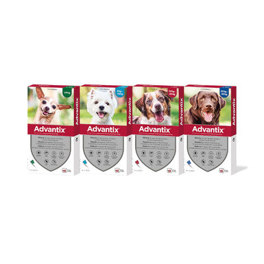 Advantix Pipetas Antiparasitarias para perros
