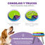 Outward Hound Lickin' Layers Juguete Interactivo con Chuches para perros, , large indicador imagen numero 6