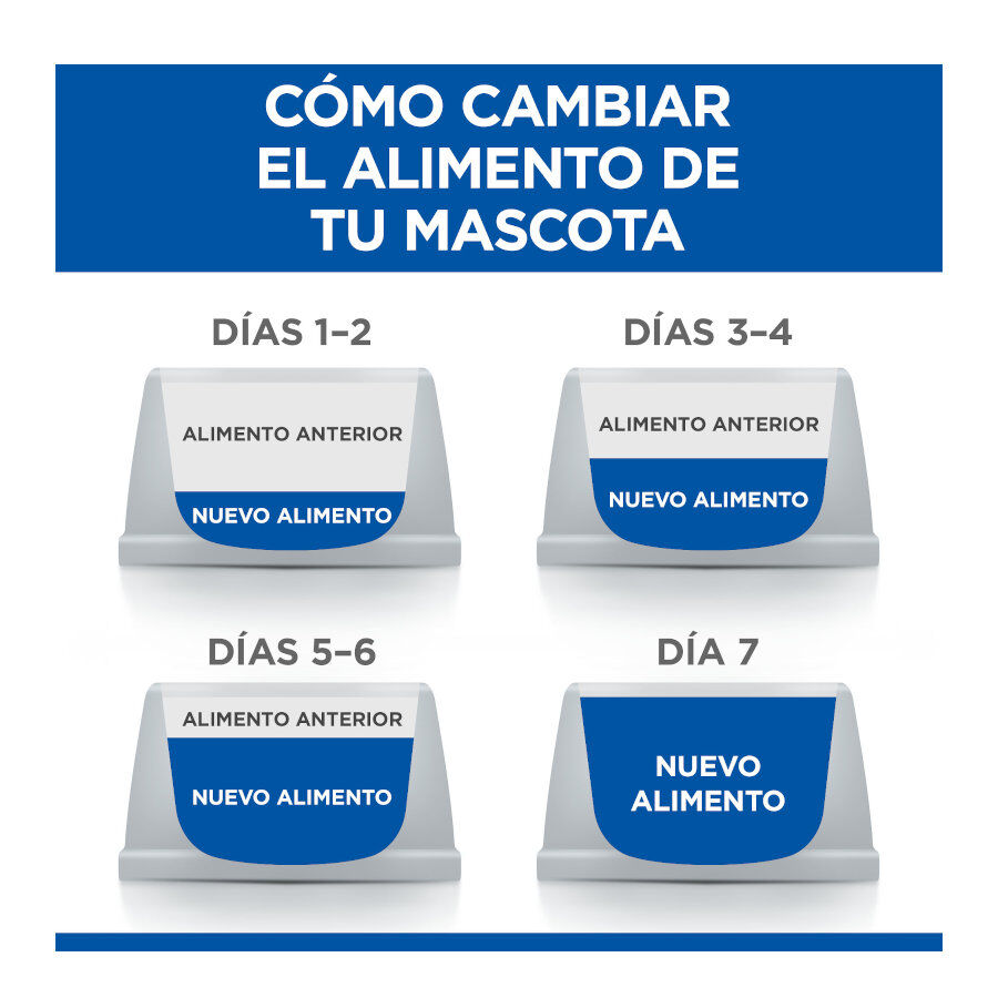 12 sobres x 85 g Hill's Science Plan Sterilised Adult Pollo y Salm&oacute;n en Salsa sobre para gatos, , large Imagen numero 5