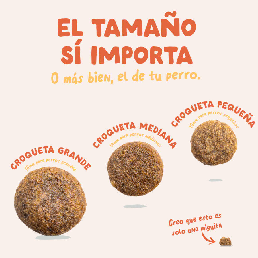 12 kg Edgard & Cooper Adult Pollo pienso para perros, , large Imagen numero 5