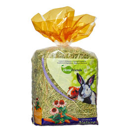 Home Friends Heno Zanahoria para roedores