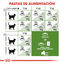 10 kg Royal Canin Active Life Outdoor pienso para gatos, , large indicador imagen numero 6