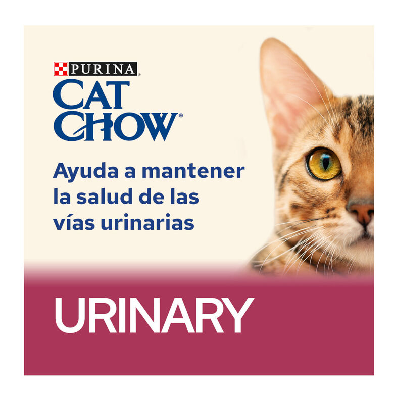 Cat Chow Urinary Tract Health Pollo Pienso thumbnail