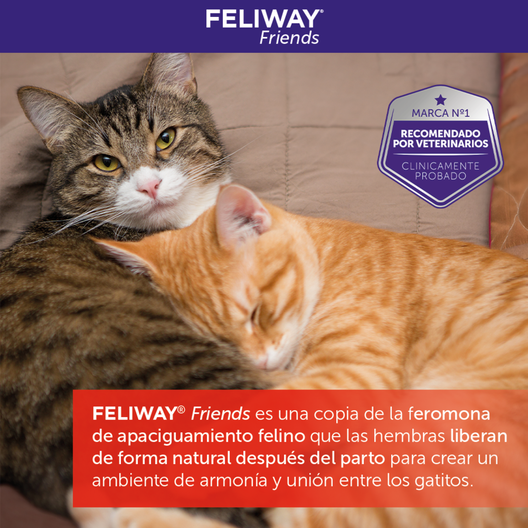 Feliway Friends Difusor para gatos, , large image number null