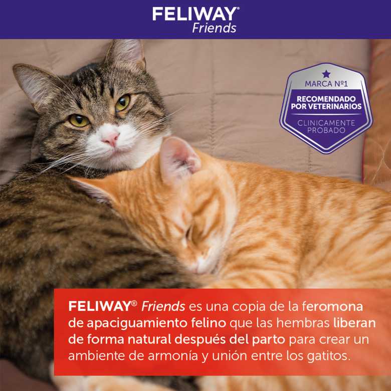 Feliway Friends Difusor para gatos thumbnail