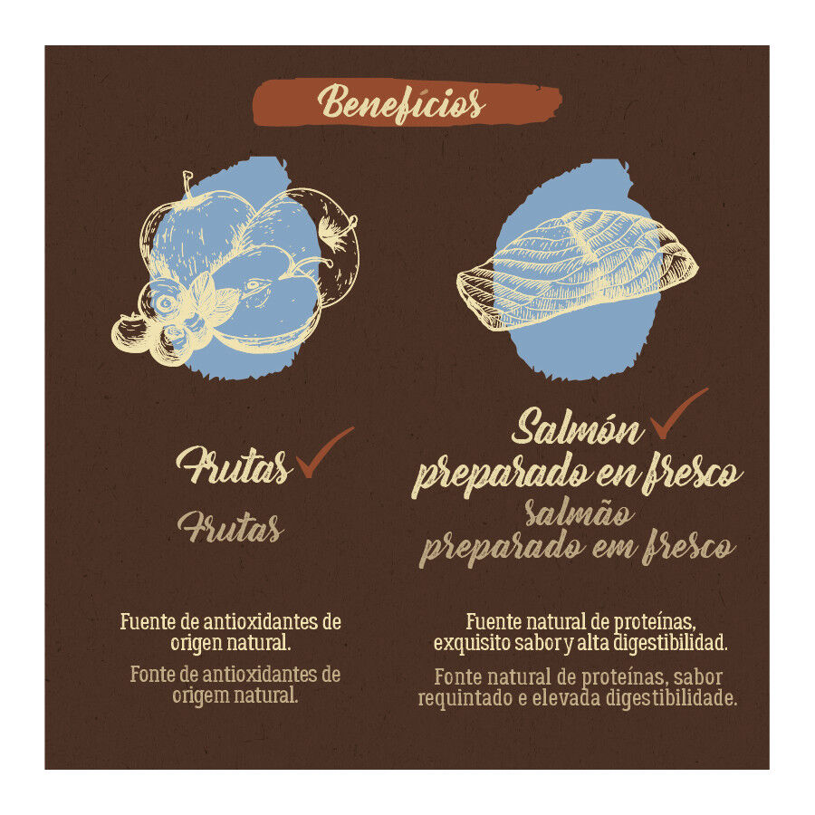 True Origins Pure Grain Free Adult Mini Salmón pienso para perros thumbnail