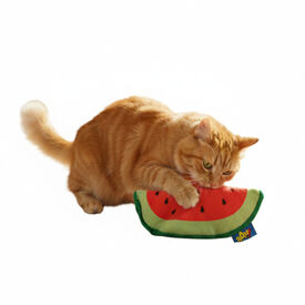 BAM! Peluche Sand&iacute;a con Catnip para gatos