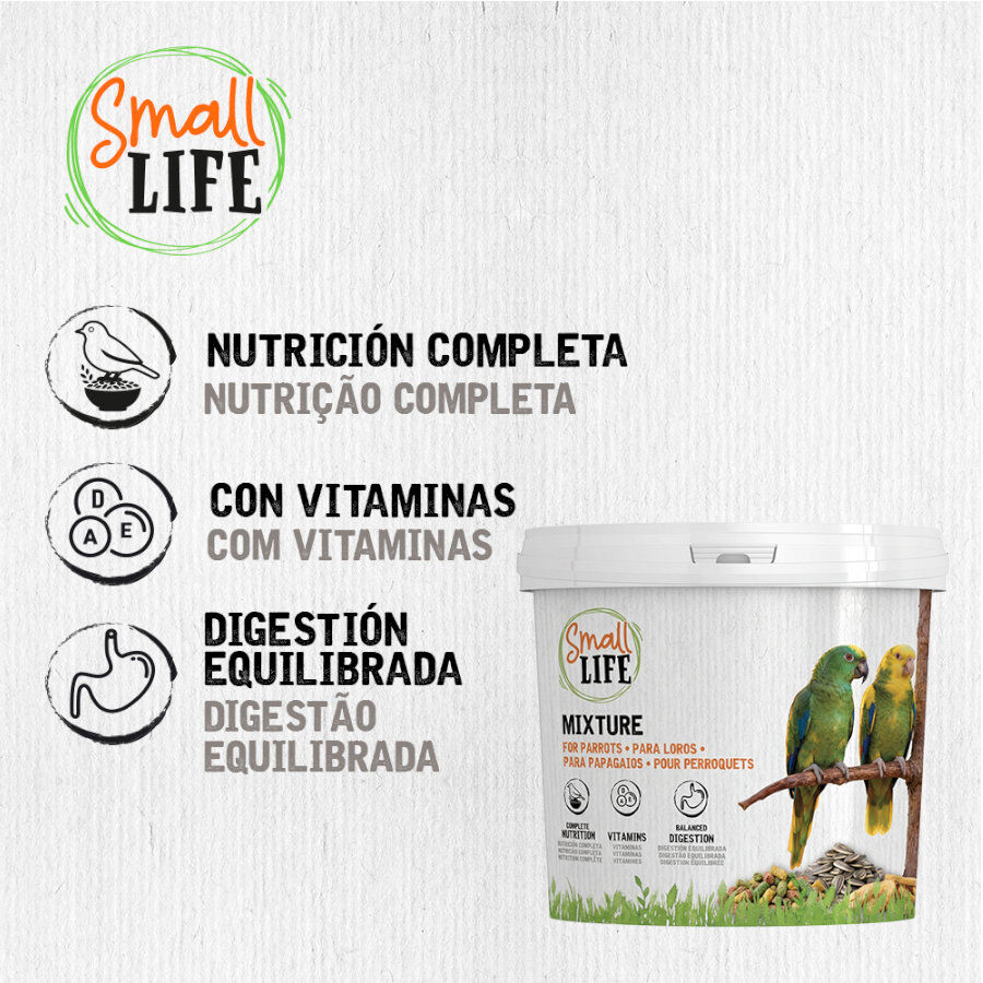 2.8 kg Small Life Mixtura Cubos para loros, , large Imagen numero 4
