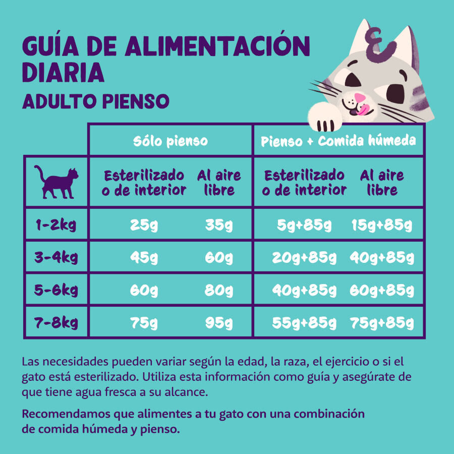 Edgard &amp; Cooper Adult Pavo y Pollo pienso para gatos thumbnail