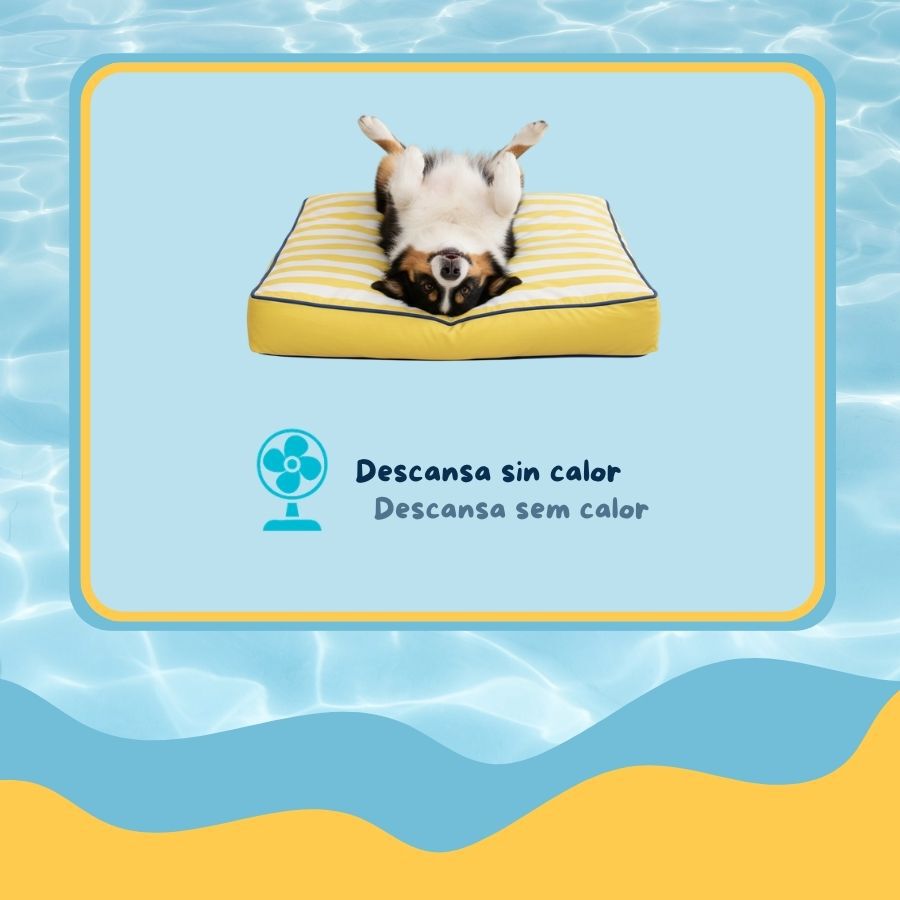 Summer Vibes Cama Coj&iacute;n Amarillo y Blanco para perros, , large Imagen numero 3