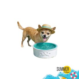 Summer Vibes Bebedero Refrescante para perros