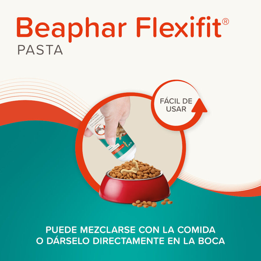 250 g Beaphar Pasta Flexifit para perros y gatos, , large Imagen numero 5