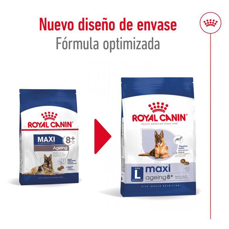 15 kg Royal Canin Maxi Ageing 8+ pienso para perros, , large Imagen numero 2