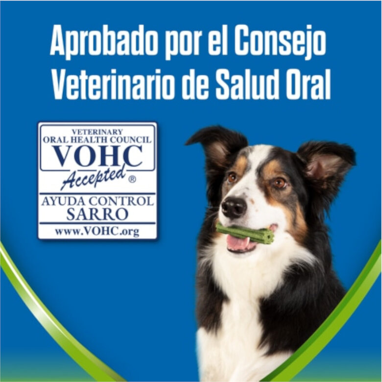Dentalife Snacks Dentales Small ActivFresh para perros, , large image number null