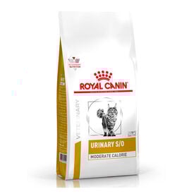 Royal Canin Veterinary Urinary Moderate Calorie pienso para gatos