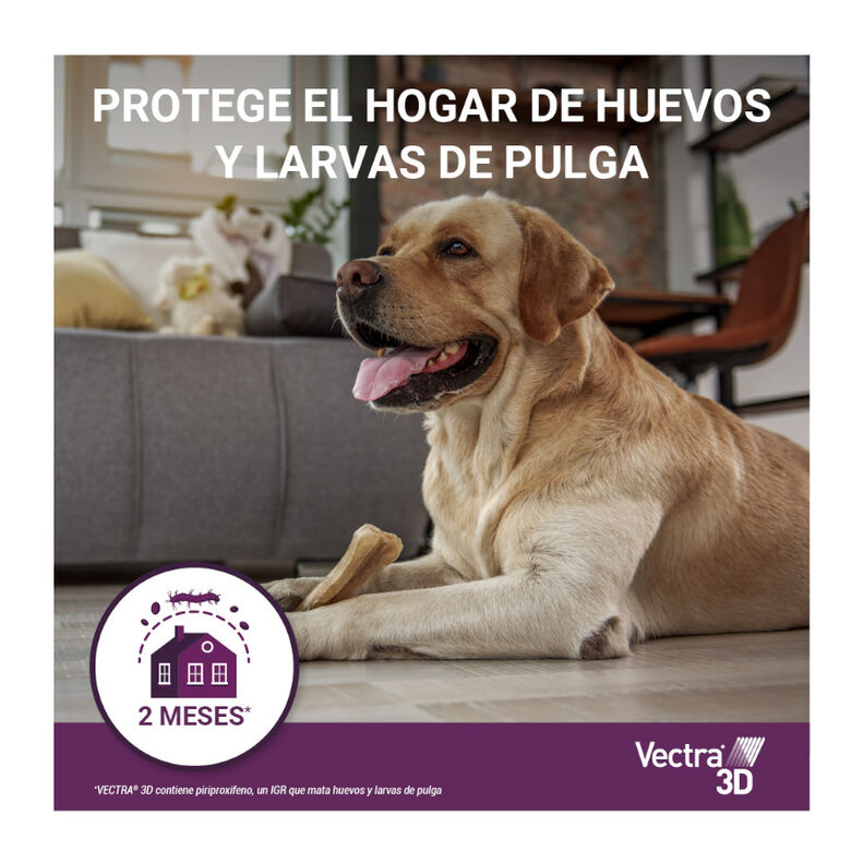 Vectra 3D Pipetas Antiparasitarias para perros thumbnail