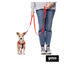 Gotoo Correa de nylon roja reflectante para perros, , large indicador imagen numero 3