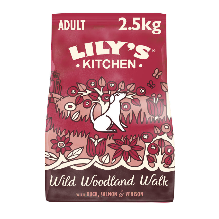 Lily's Kitchen Adult Pato, Salmón y Ciervo pienso para perros