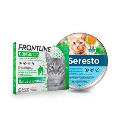 Bayer Seresto Collar Antiparasitario y Frontline Antiparasitario para gatos - Pack 