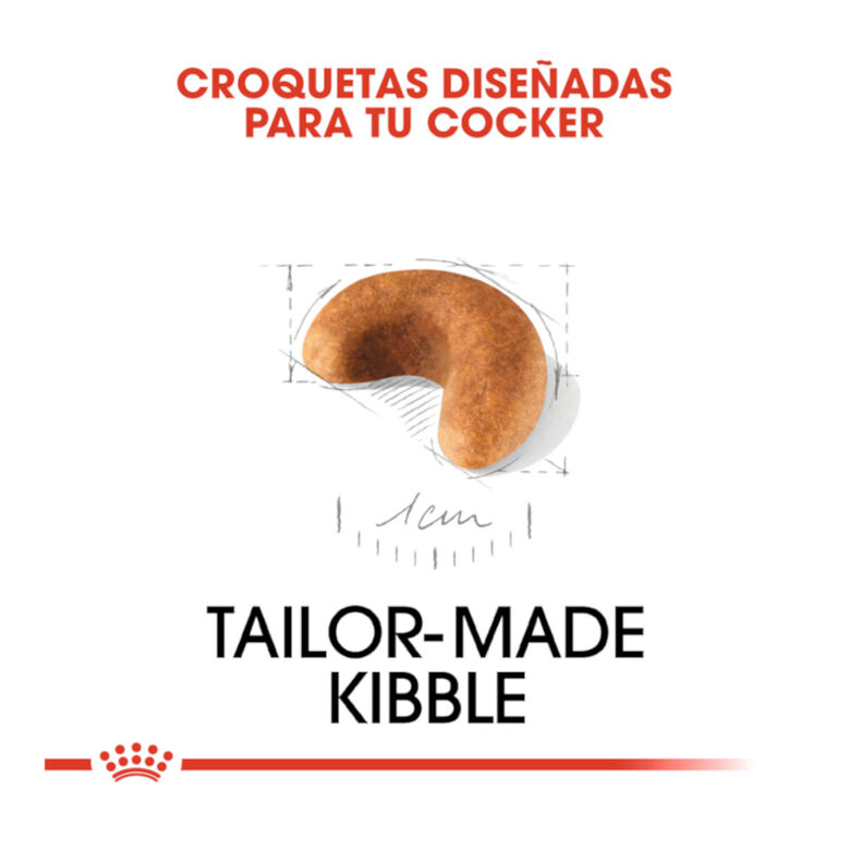 Royal Canin Puppy Cocker pienso para perros thumbnail