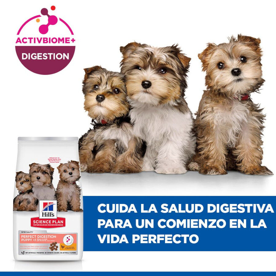 1.5 kg Hill's Science Plan Perfect Digestion Puppy Small y Mini Pollo y Arroz pienso para cachorros, , large Imagen numero 6