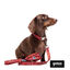 Gotoo Porta bolsas estampado cachemira rojo para perros, , large indicador imagen numero 3