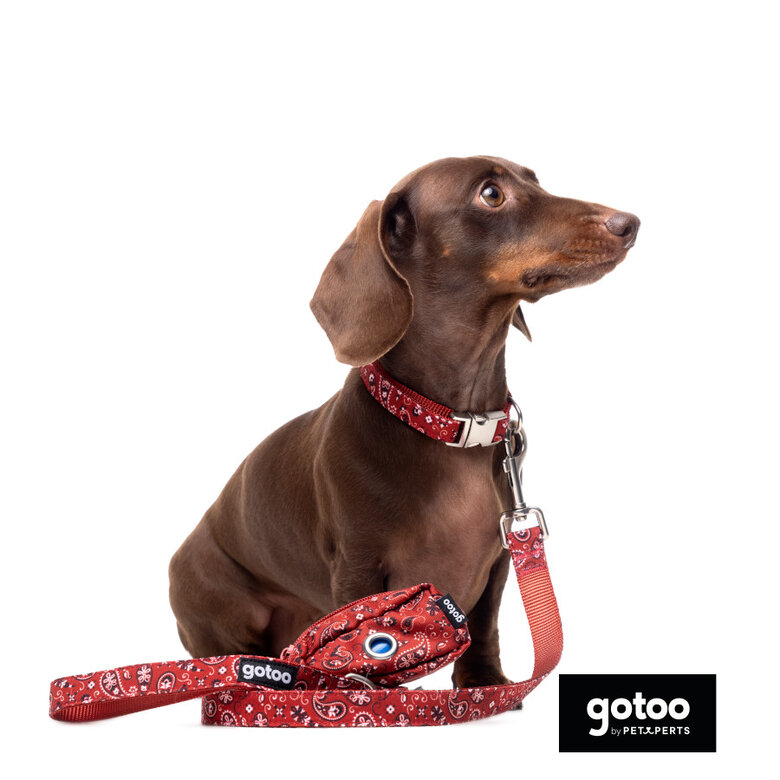 Gotoo Porta bolsas estampado cachemira rojo para perros,  Imagen numero 3 Gotoo Porta bolsas estampado cachemira rojo para perros, , large Imagen numero 3