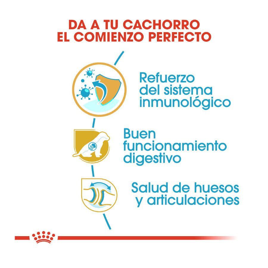 Royal Canin Puppy Pastor Alemán pienso para perros thumbnail