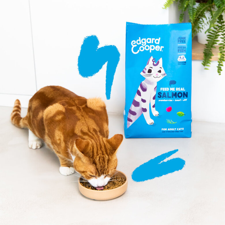 Edgard & Cooper Adult Salmón pienso para gatos, , large image number null