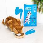 Edgard & Cooper Adult Salmón pienso para gatos, , large image number null