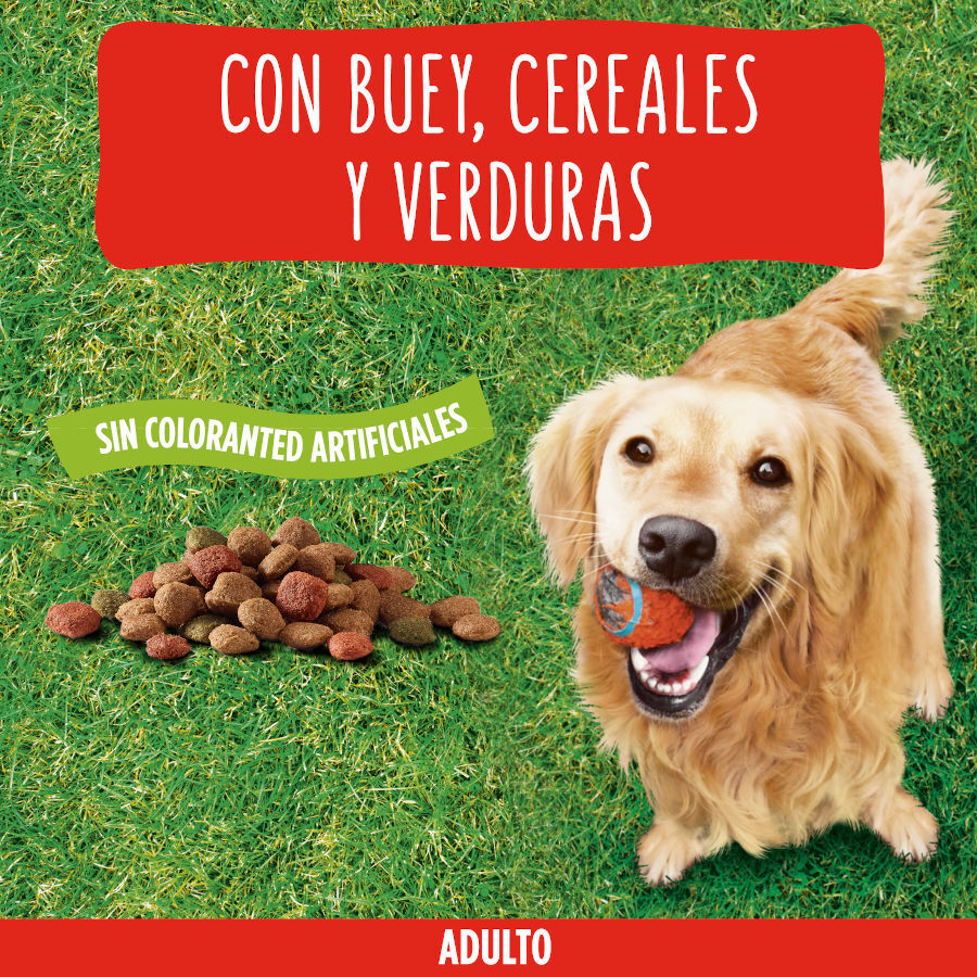 Friskies Adult Buey y Verduras pienso para perros thumbnail
