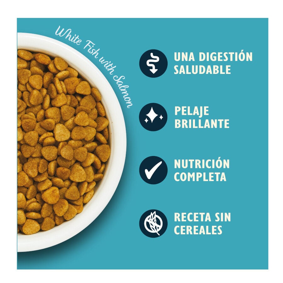 2 kg Lily's Kitchen Pescado blanco pienso para gatos, , large Imagen numero 3