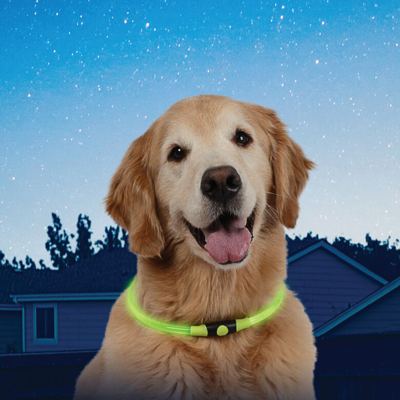 Nite Ize Nite Howl Collar Led Verde para perros thumbnail