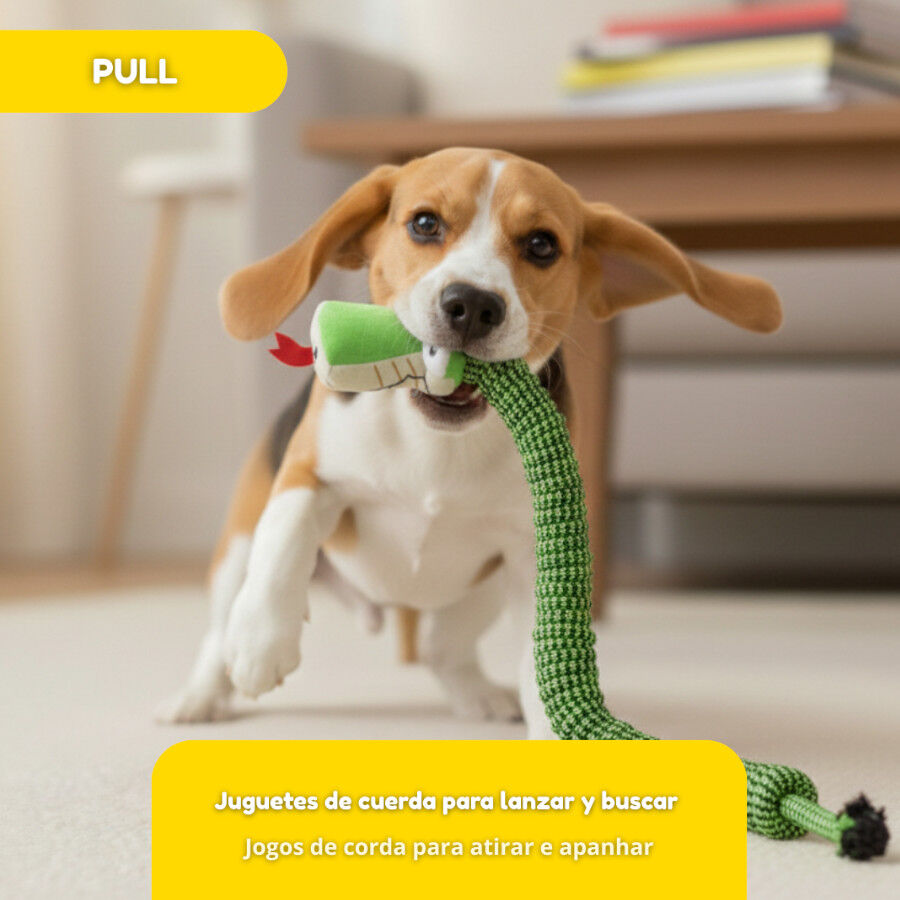 Tootoy! Serpiente Modedor de Cuerda para perros, , large Imagen numero 5