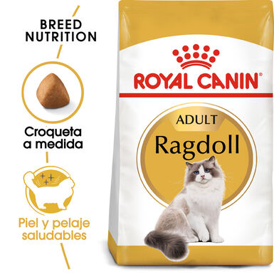Royal Canin Adult Ragdoll pienso para gatos