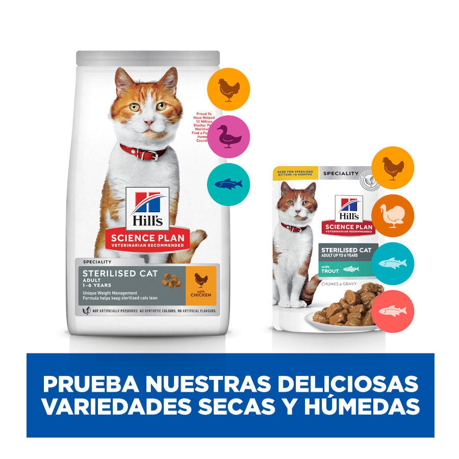 85 g Hill's Science Plan Sterilised Young Adult Trucha Sobre en Salsa para gatos, , large Imagen numero 8