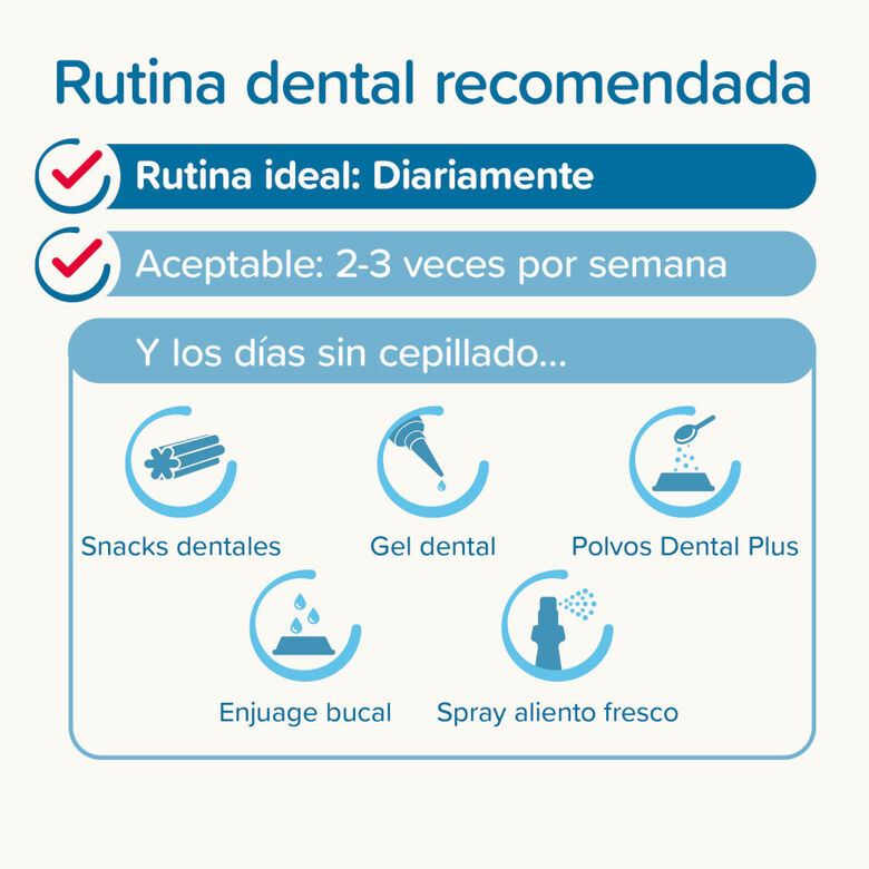 Beaphar Pack Dental Pasta y Cepillo para Perros y Gatos thumbnail