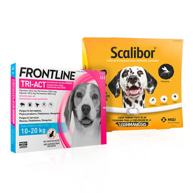 Scalibor Collar Antiparasitario 65 cm + Frontline Tri-Act Pipetas para perros medianos