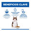 7 kg Hill's Science Plan Perfect Digestion Adult Pollo Pienso para gatos, , large indicador imagen numero 3