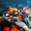 JBL ProPond Flakes alimento para peces, , large indicador imagen numero 7