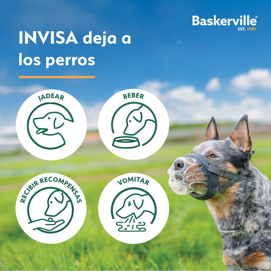 Baskerville Invisa bozal moldeable para perros thumbnail