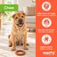 Tootoy! Chew Anillo Trenzado Juguete para perros, , large indicador imagen numero 4