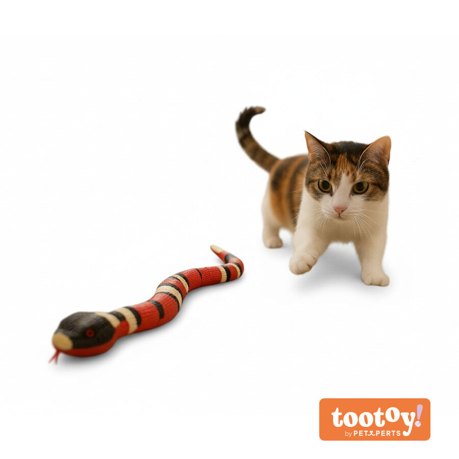 Tootoy! Serpiente Interactiva con Movimiento para gatos, , large Imagen numero 11