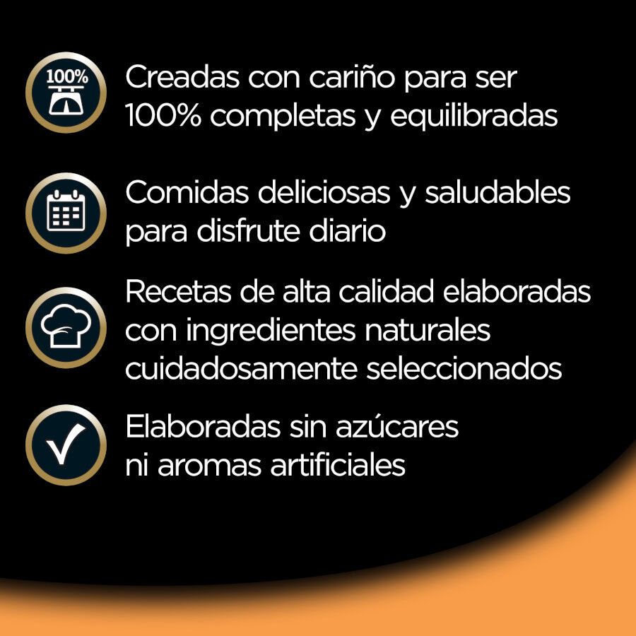 8 tarrinas x 150 g Cesar Recetas de la huerta Tarrina en Pat&eacute; y Gelatina para Perros , , large Imagen numero 2