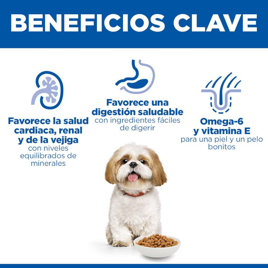 Hill&#039;s Science Plan Mature Adult Small y Mini pollo pienso para perros thumbnail