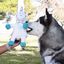 Wonder Christmas Unicornio Polar de peluche navideño para perros, , large indicador imagen numero 4